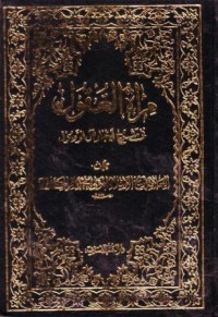 مراة العقول في شرح اخبار ال الرسول-19